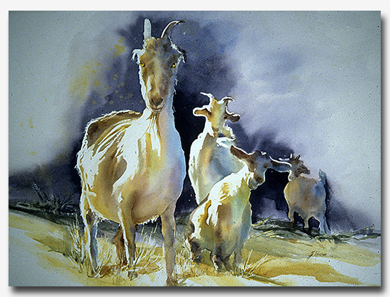 Watercolor painting of goats by Judith Renter