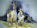 Judith Rentner-Shadow Goats