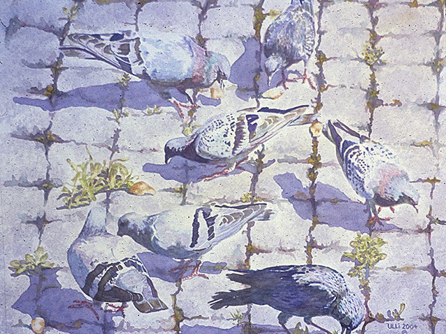 Ulli Misegades-Mainly Pigeons