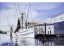 Janet Dixon-Shrimp Boats