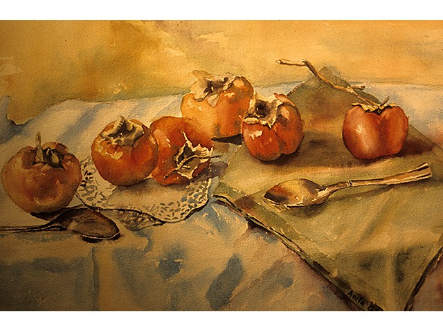 Anita Cohn-Persimmons