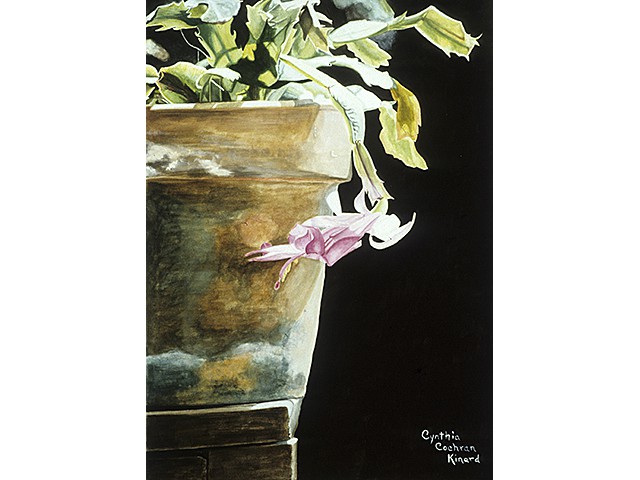 Cynthia Cochran-Kinard0 The Bloom