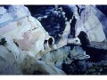 Jean Dexter-Eccentric Canyon de Chelly