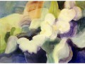 Kristen Dill-Orchard Cadence