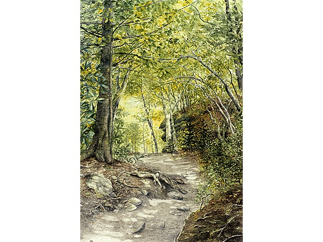 Claire Simpson-Jones-  Dreamer's Hike 