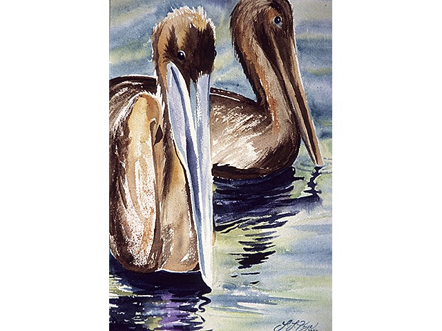 Laura Frye-  Pelican Hair 
