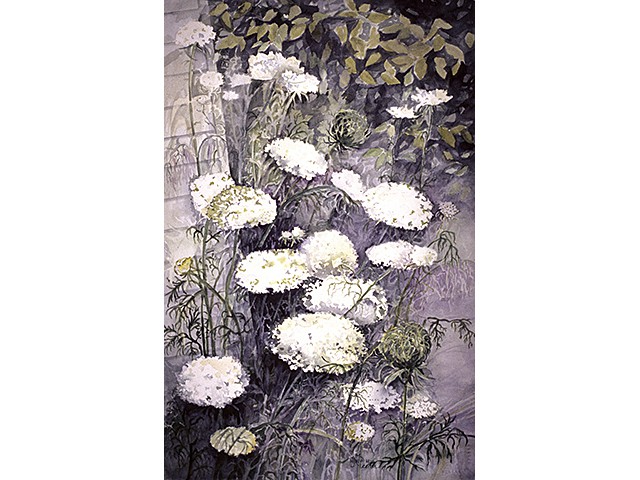 Meera Goyal-  Queen Anne's Lace 