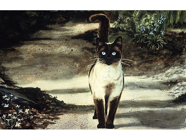 Phyllis Burns-   Beth's Garden Path 