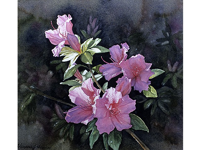 Verena Heroux-  Sun-Kissed 