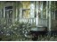 Becky Howard-  Evening Reflections 