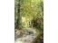 Claire Simpson-Jones-  Dreamer's Hike 