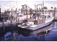 Karen Van Gamper-  Working Boats at Rest 