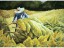 Lillian Parks-  Spudding Burley 