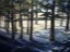 Mary Lynne Stuart-  Early Morning 