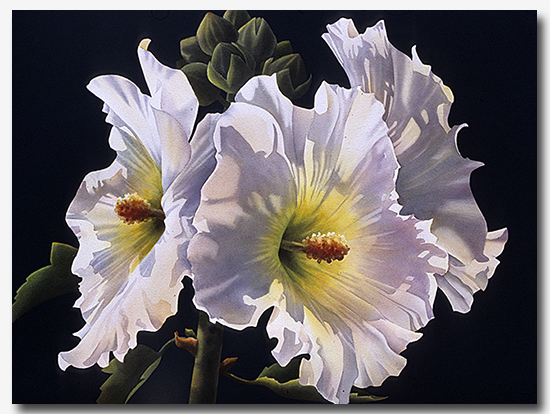 Ann Salisbury watercolor painting